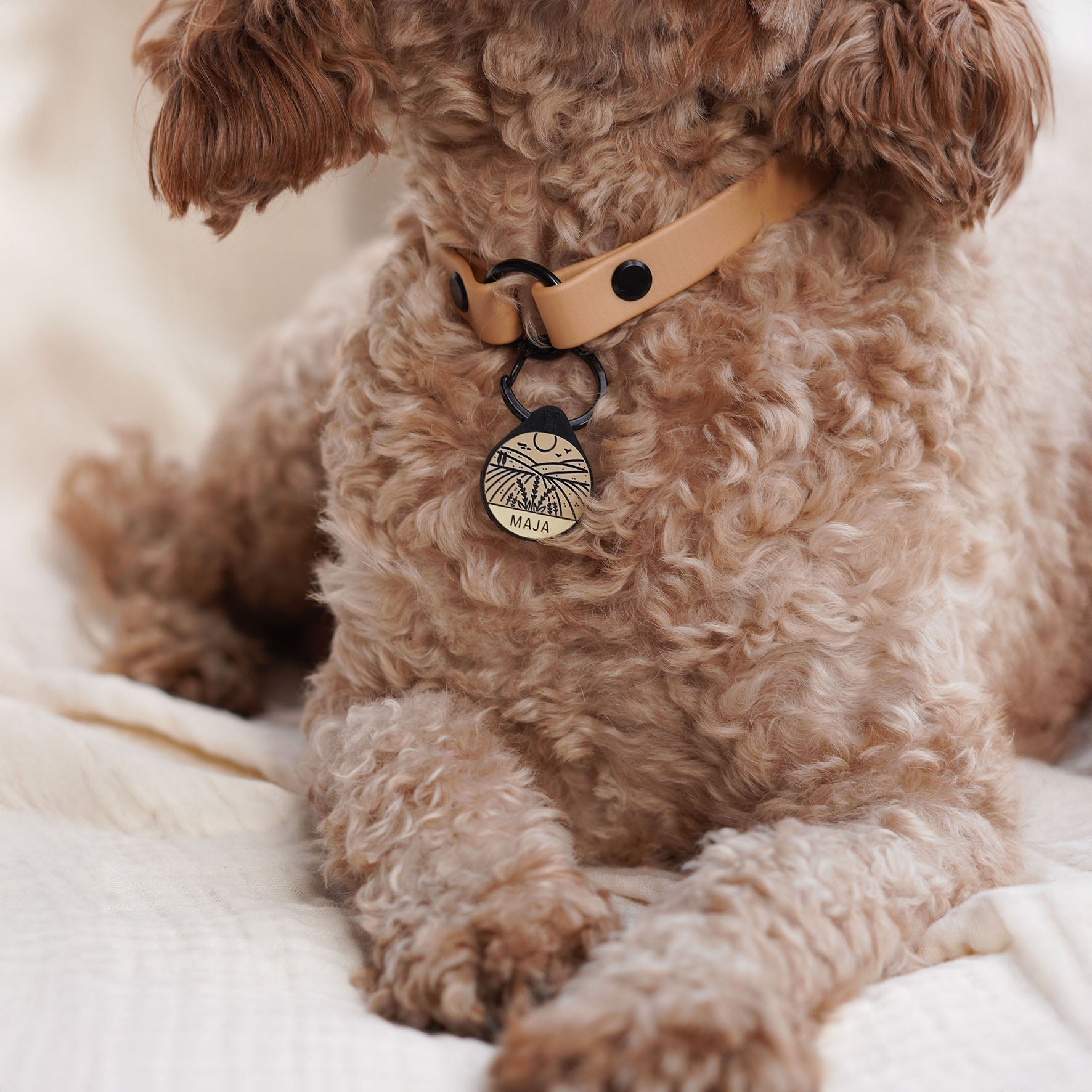 Markenband aus Biothane | Einfarbig