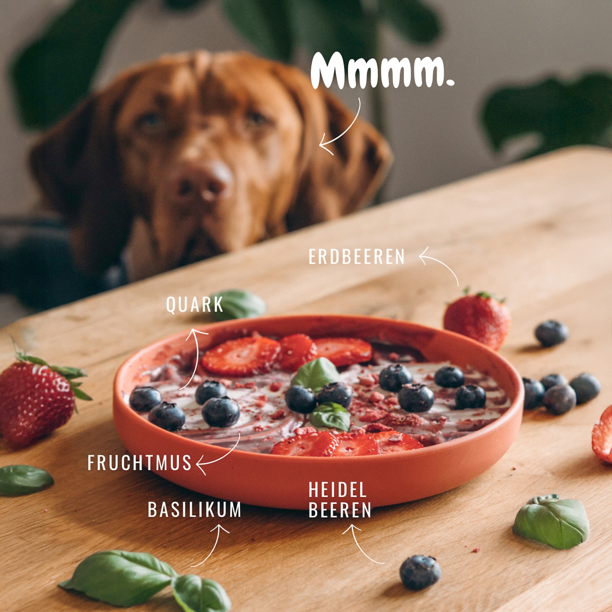 Boho Schleckmatte für Hunde TERRACOTTA