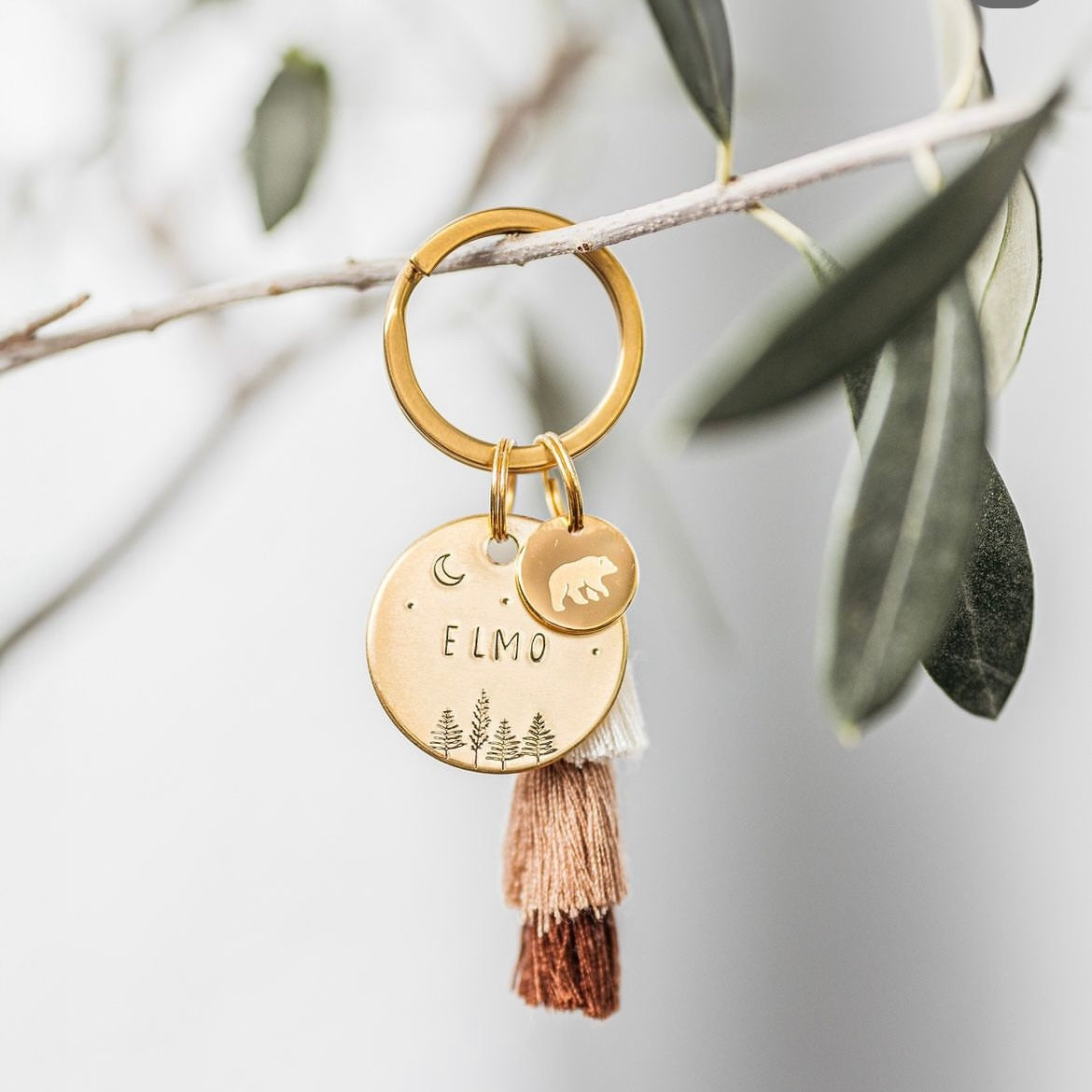 Überraschungs-Hundemarke in allen Größen