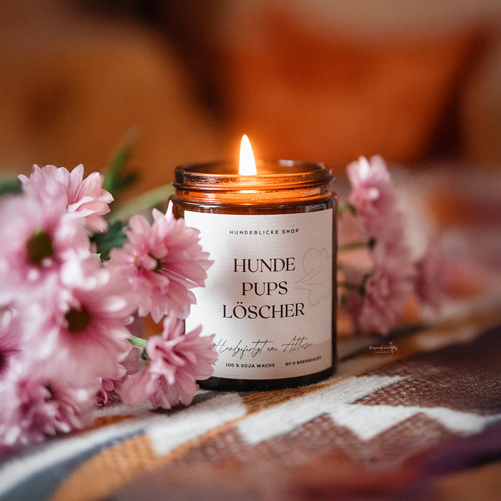 Scented candle with saying | Dog fart extinguisher