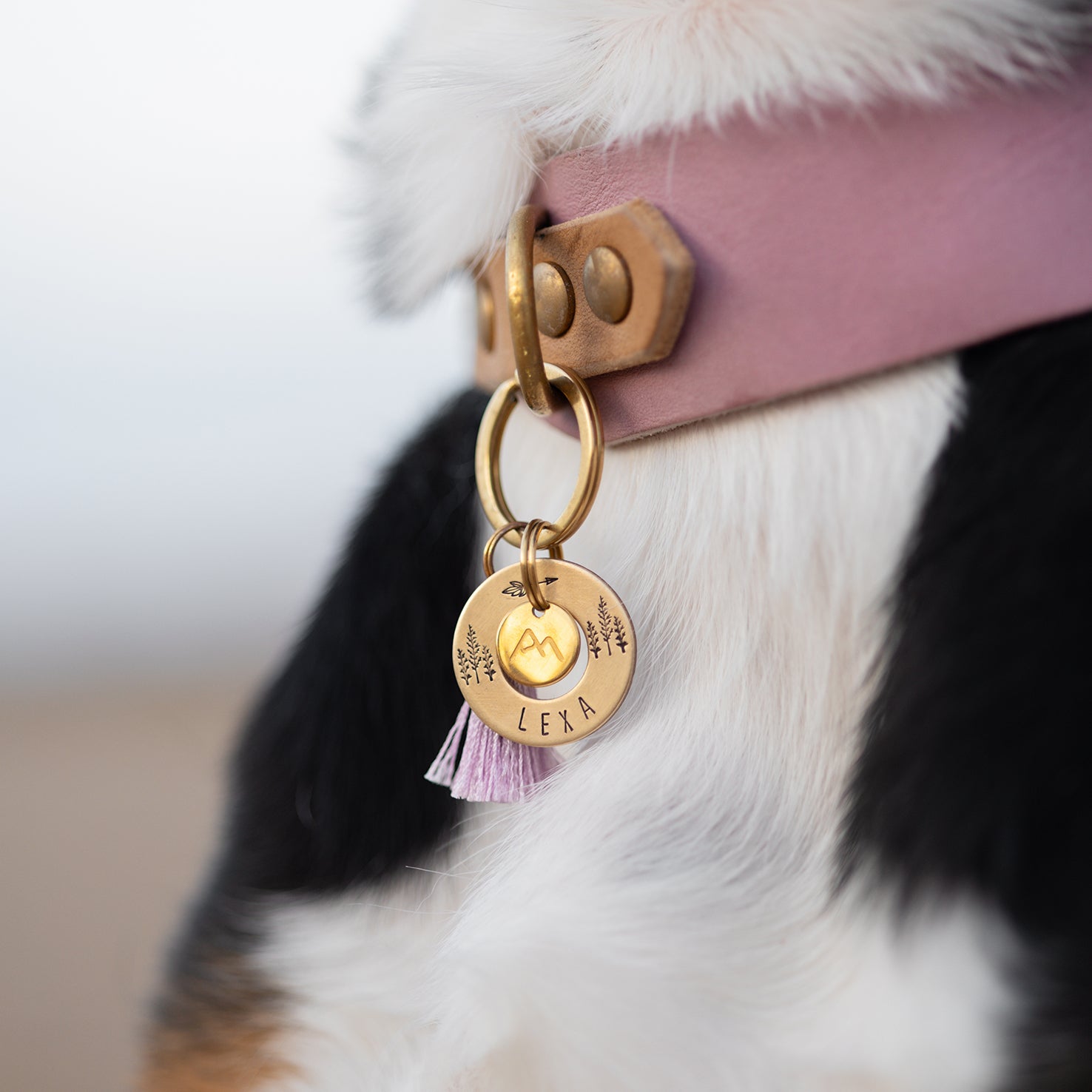 Personalisierte Hundemarke Scheibe Ø 25 mm mit Anhänger