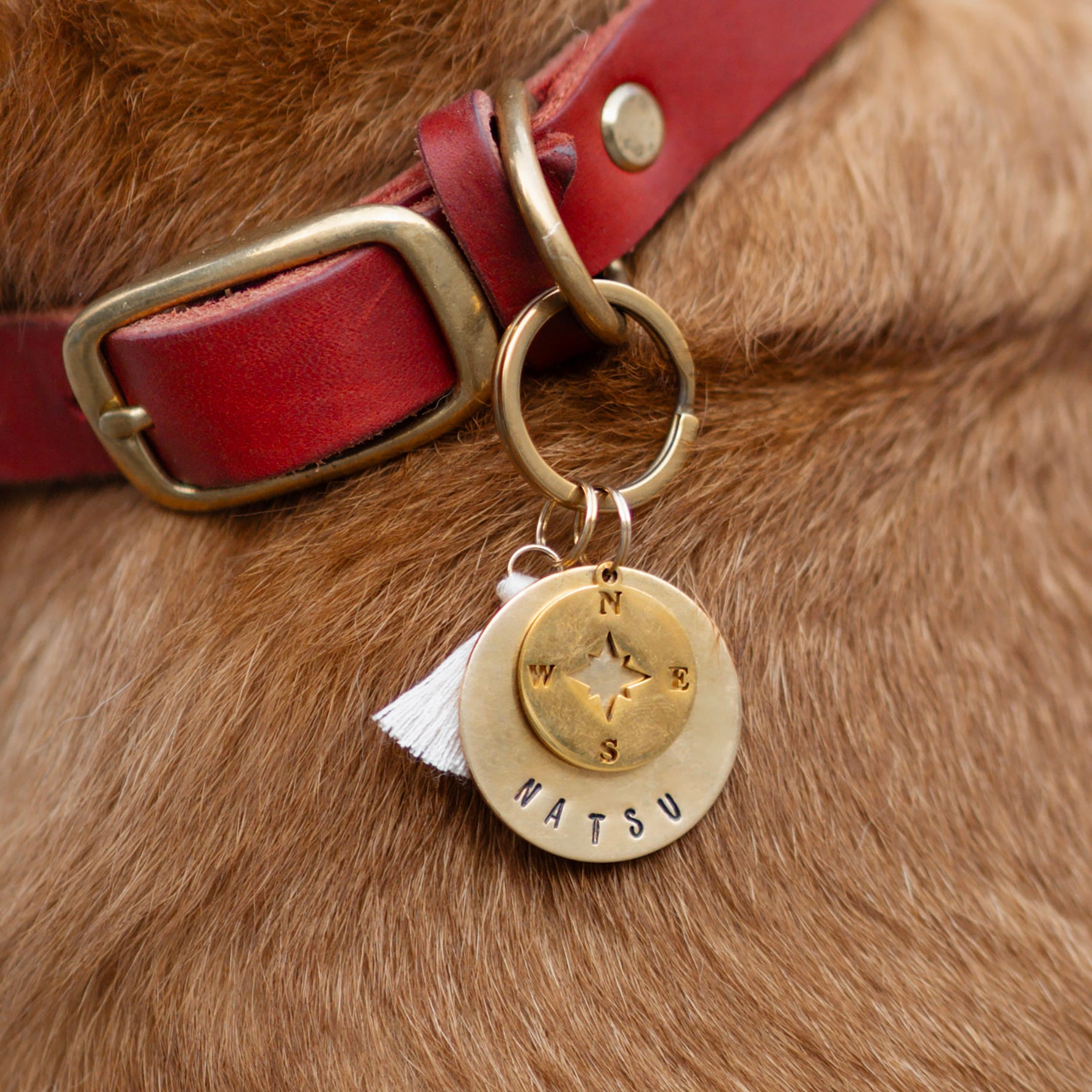 Personalized dog tag round Ø 30 mm with pendant
