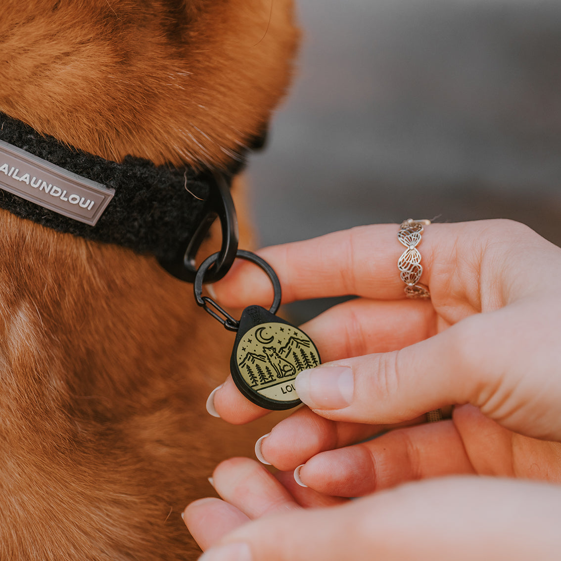Silikon Hundemarke ® Khaki | Ø 25mm