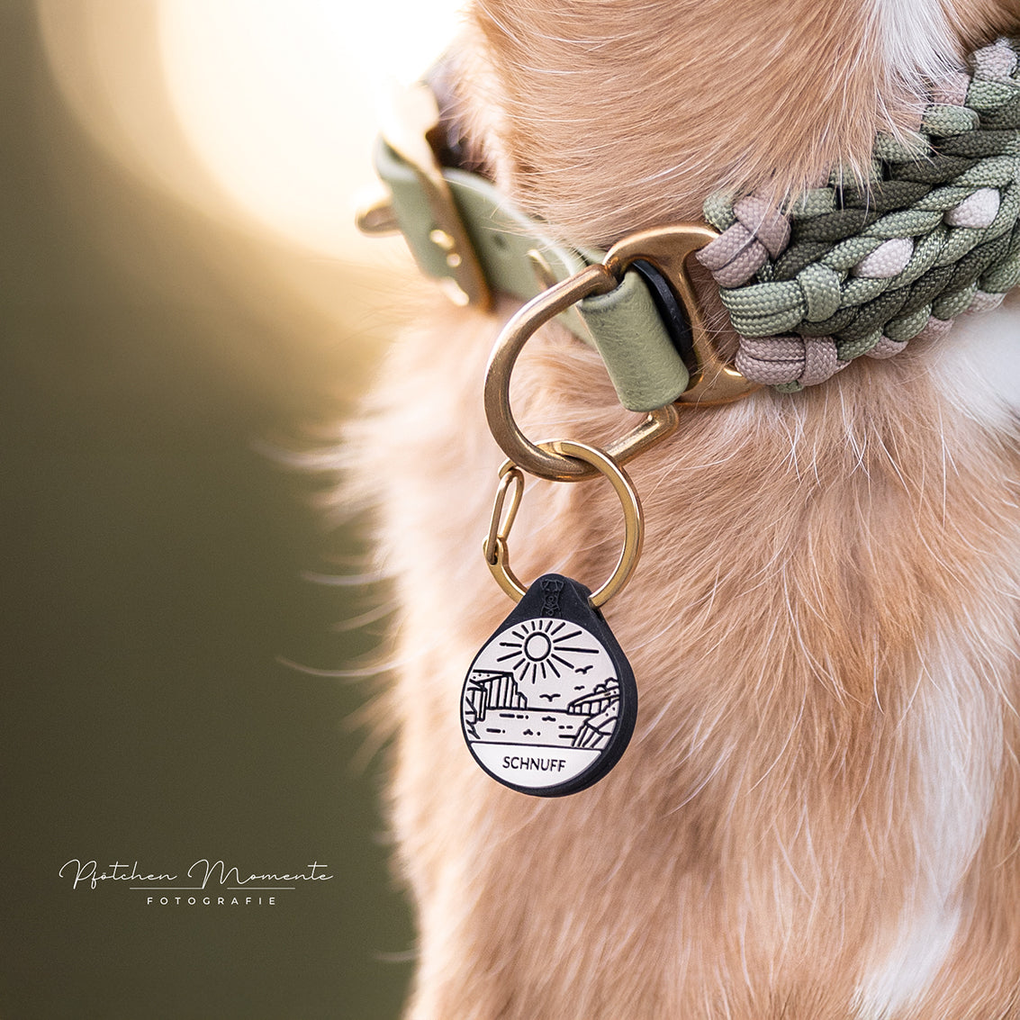 Silikon Hundemarke ® Taupe | Ø 25mm