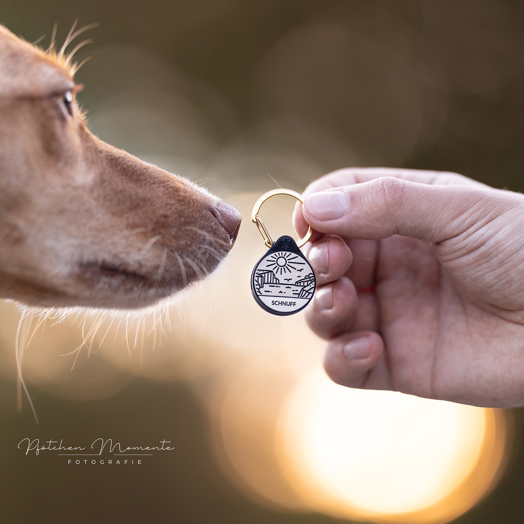 Silikon Hundemarke ® Taupe | Ø 25mm