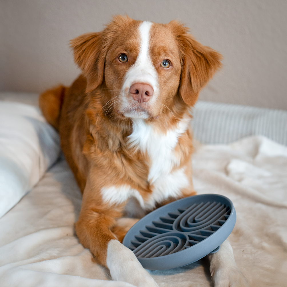 Boho Schleckmatte für Hunde THUNDER-GRAY