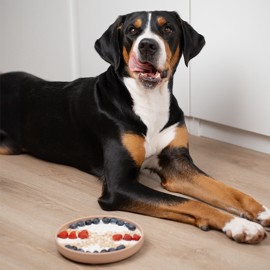 Boho Schleckmatte für Hunde SANDSTONE