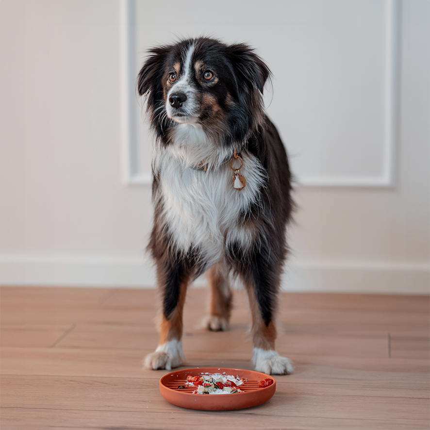 Boho Schleckmatte für Hunde TERRACOTTA