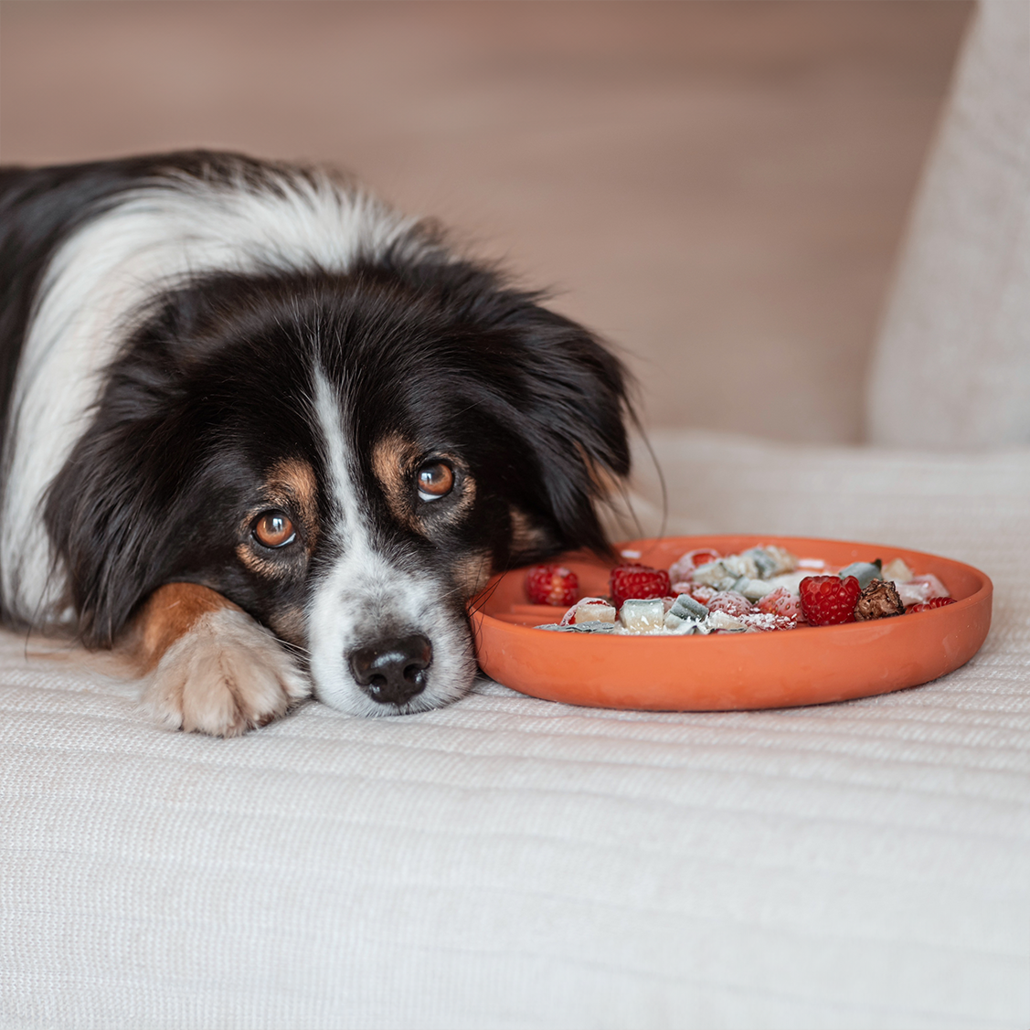 Boho Schleckmatte für Hunde TERRACOTTA