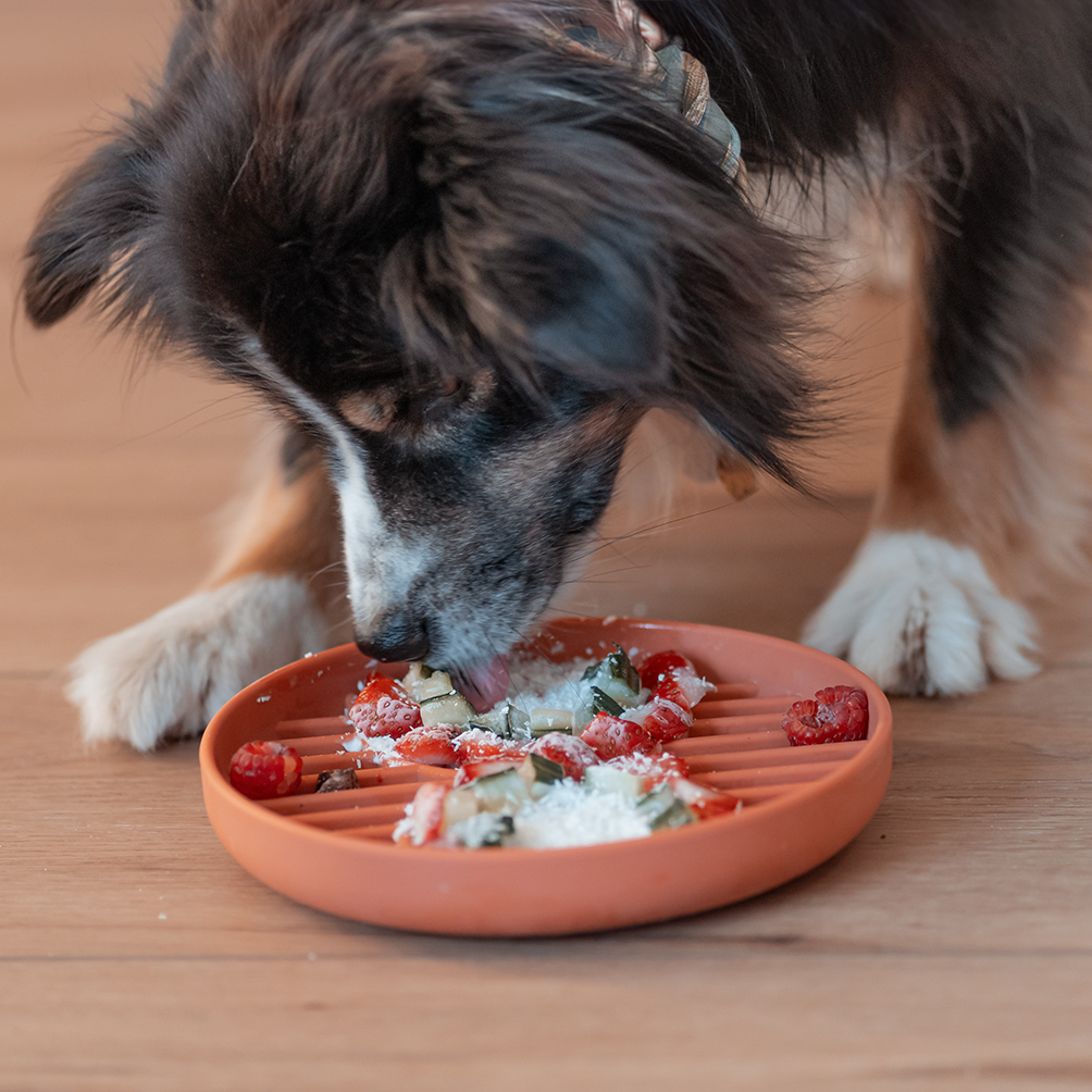 Boho Schleckmatte für Hunde TERRACOTTA