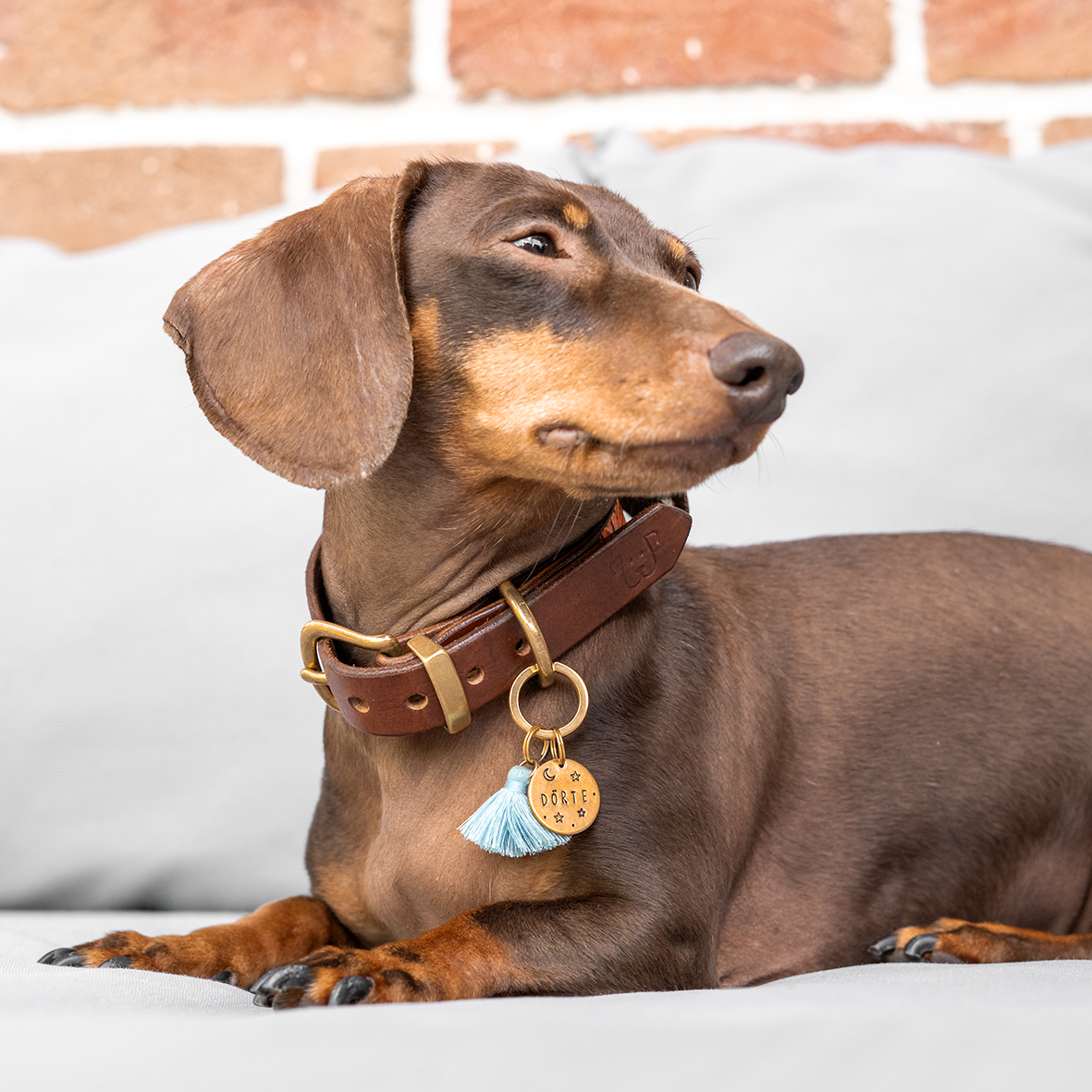 Personalisierte Hundemarke Rund Ø 20mm