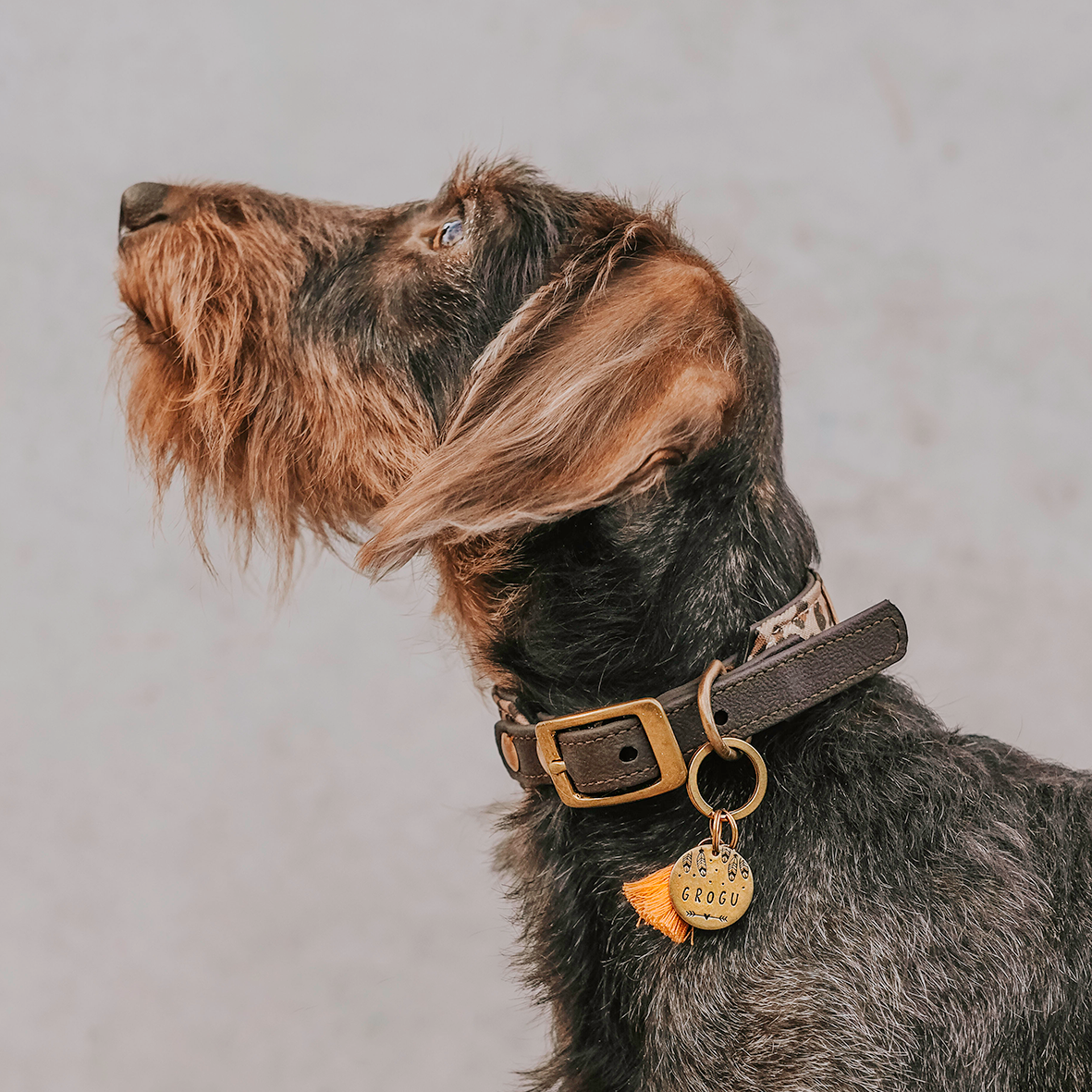 Personalisierte Hundemarke Rund Ø 20mm