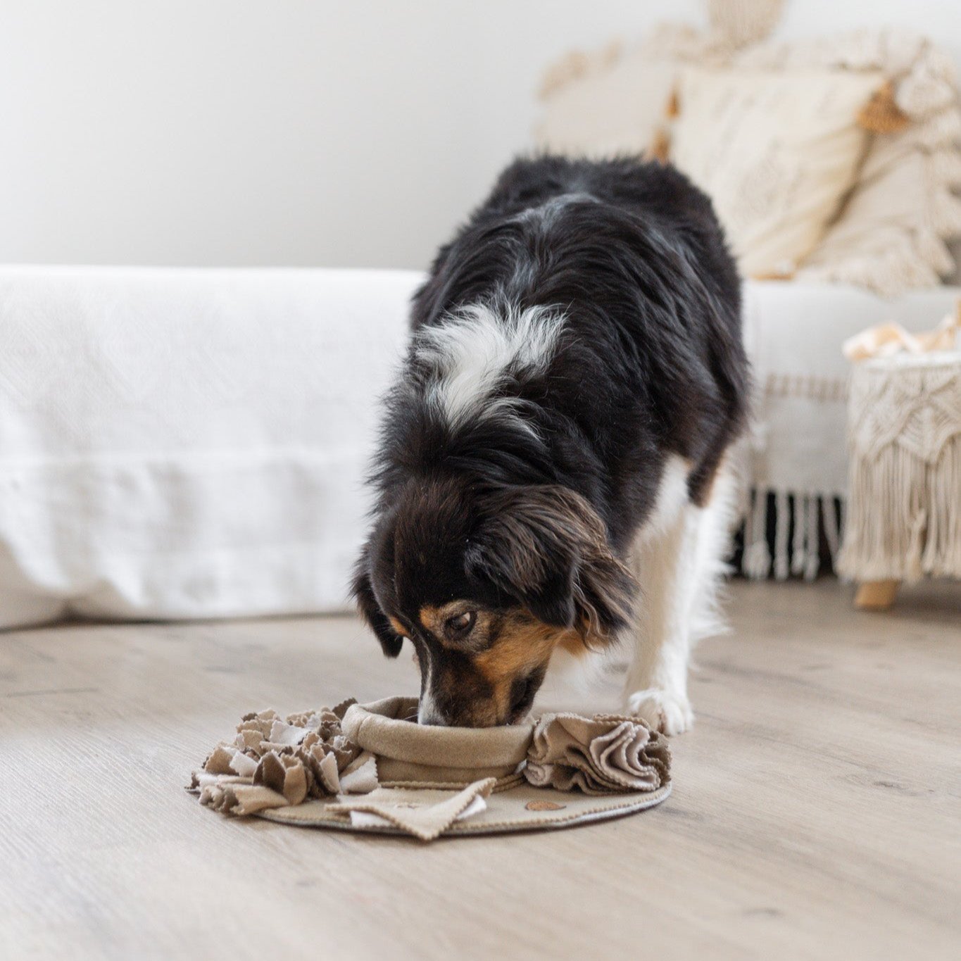 Handgefertigter Schnüffelteppich für Hunde – Intelligenzspielzeug für Suchspiele