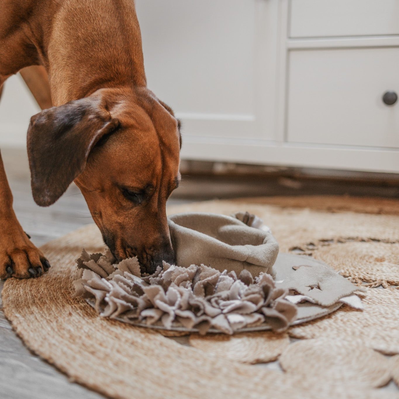 Handgefertigter Schnüffelteppich für Hunde – Intelligenzspielzeug für Suchspiele