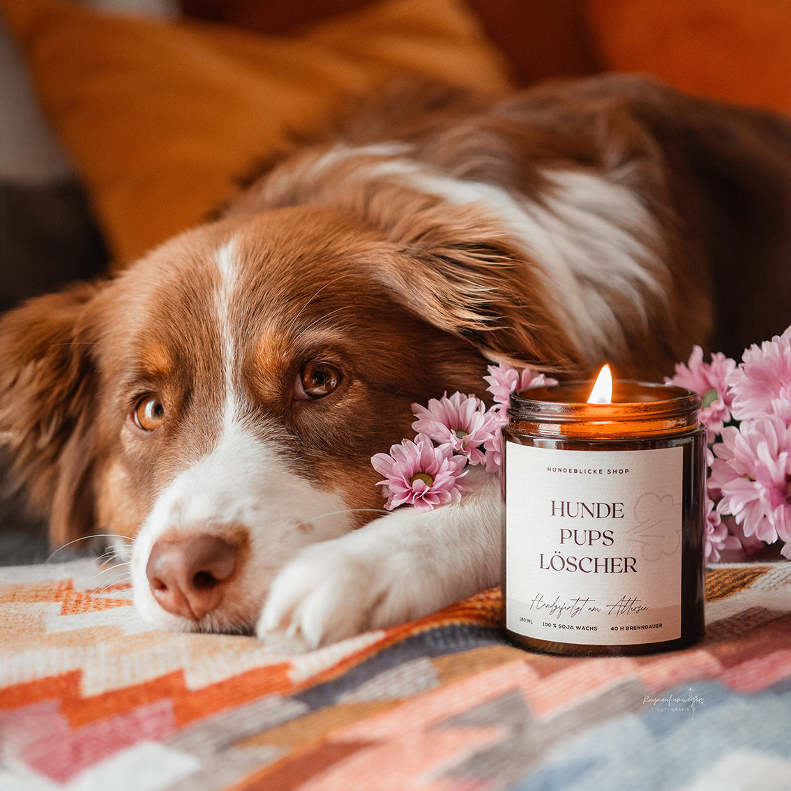 Scented candle with saying | Dog fart extinguisher