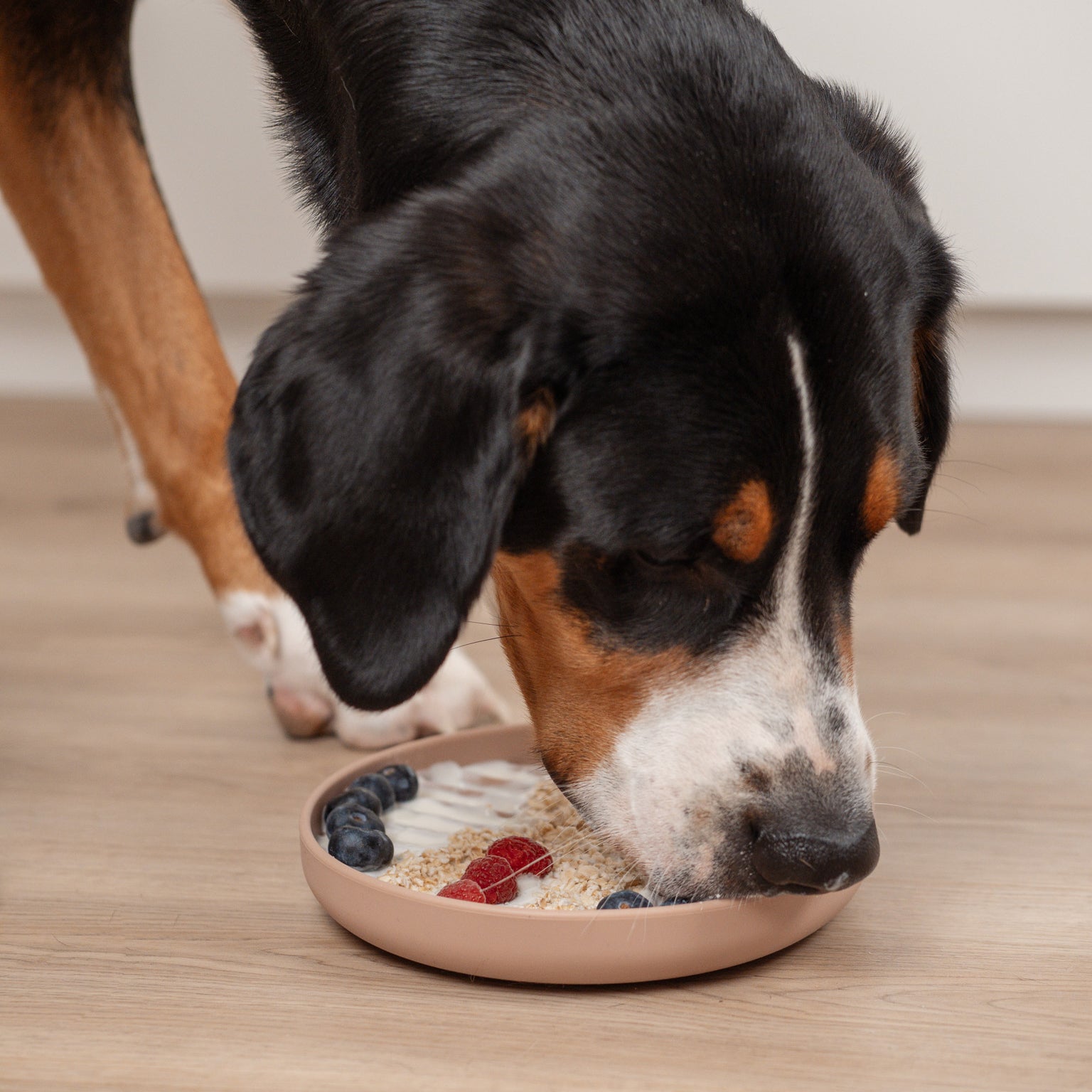 Boho Schleckmatte für Hunde SANDSTONE