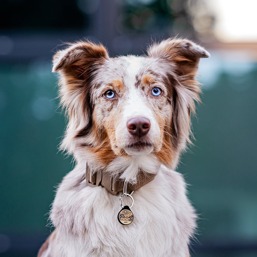 Silicone Dog Tag ® Beige | Ø 25mm