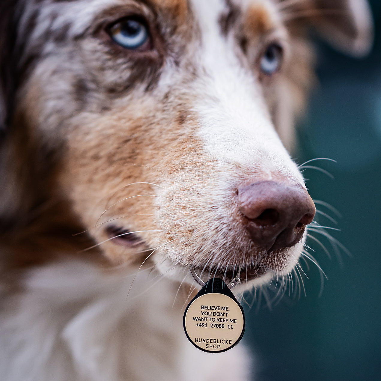 Silikon Hundemarke ® Beige |  Ø 25mm