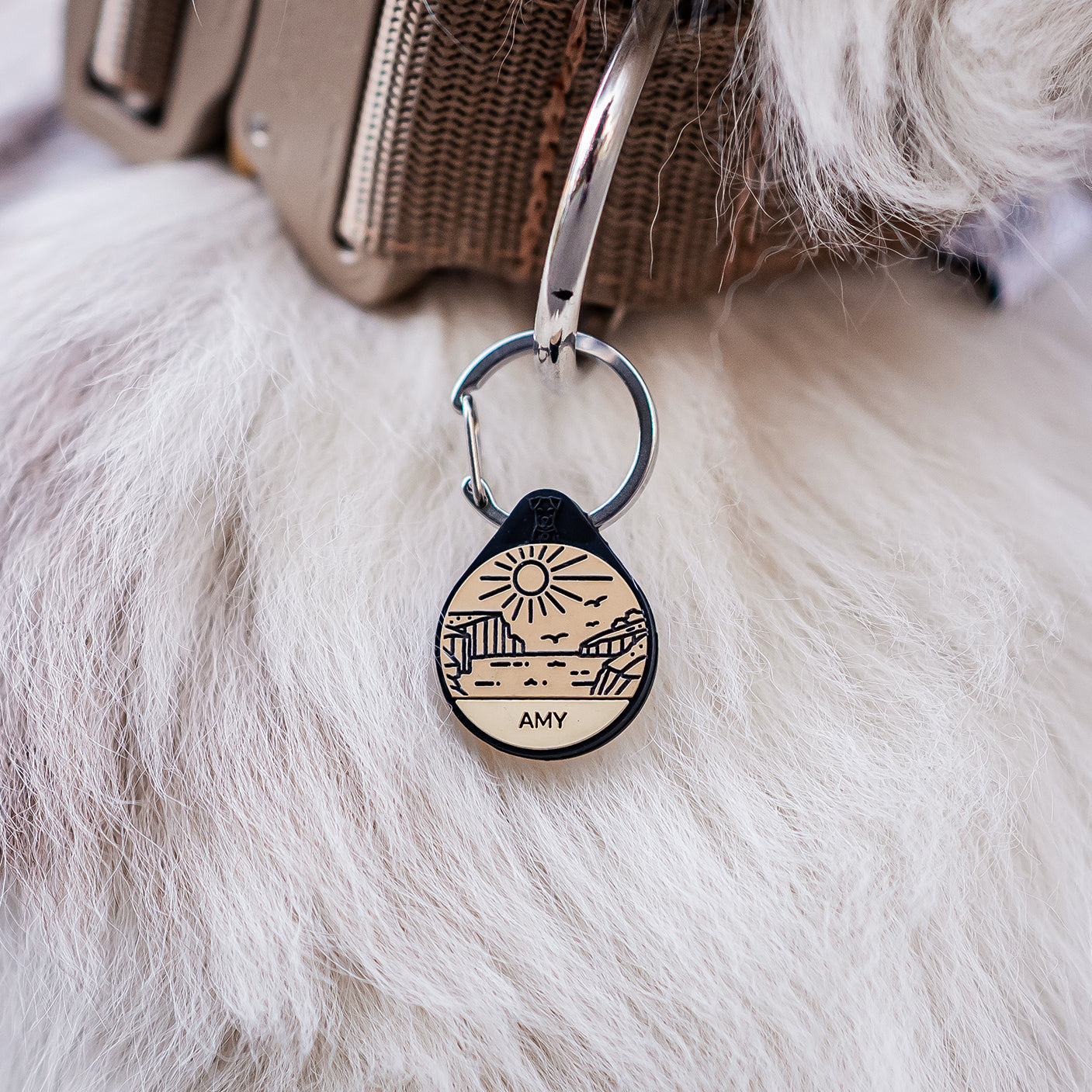Silikon Hundemarke ® Beige |  Ø 25mm