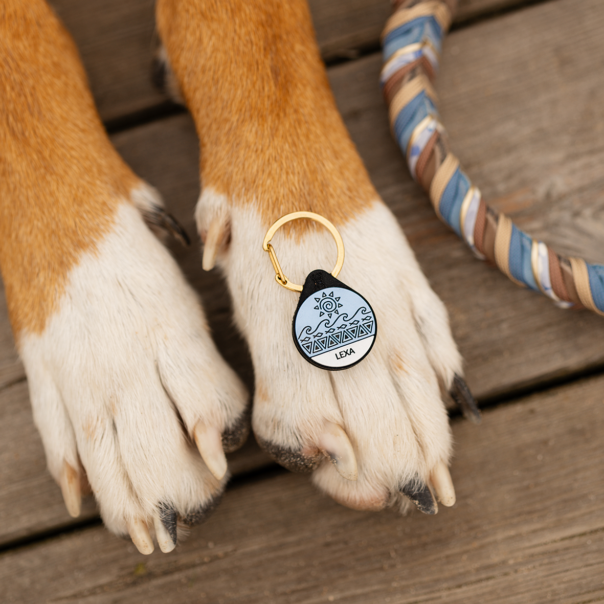 Silikon Hundemarke ® Eisblau | Ø 25mm