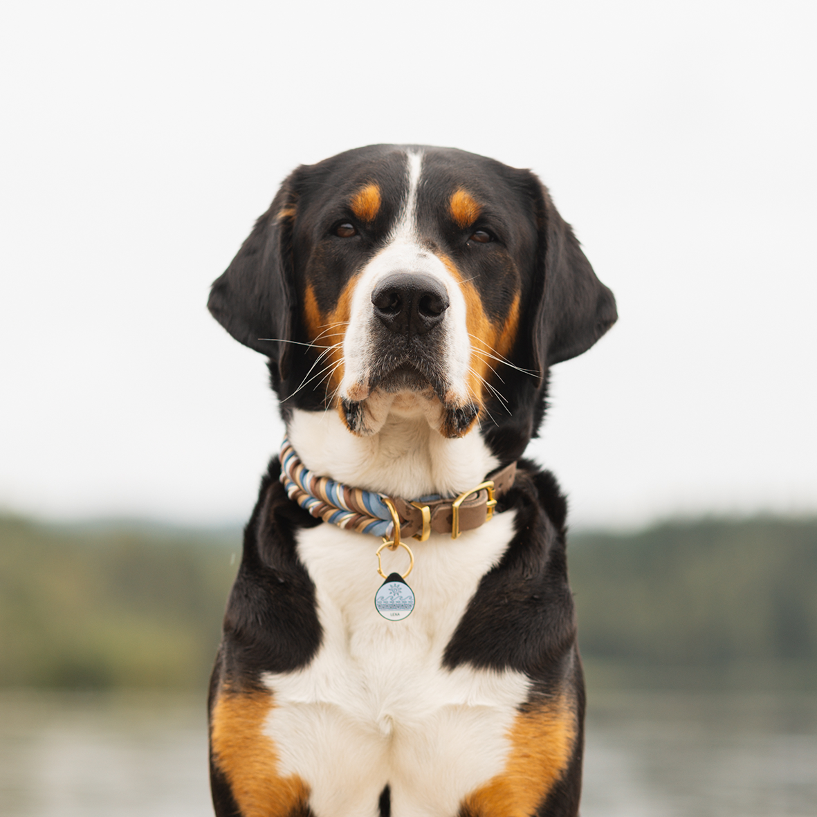 Silikon Hundemarke ® Eisblau | Ø 25mm
