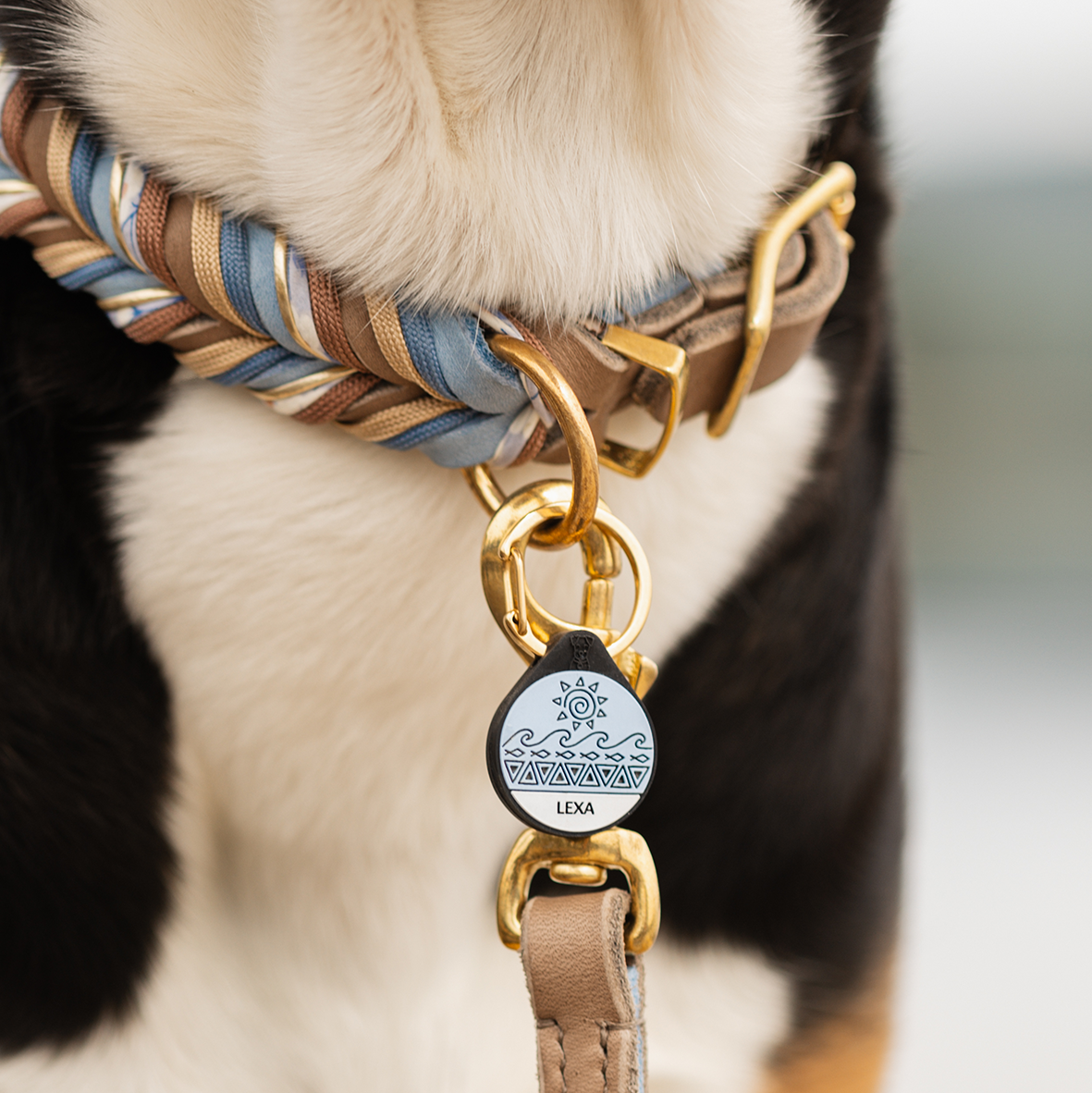 Silikon Hundemarke ® Eisblau | Ø 25mm