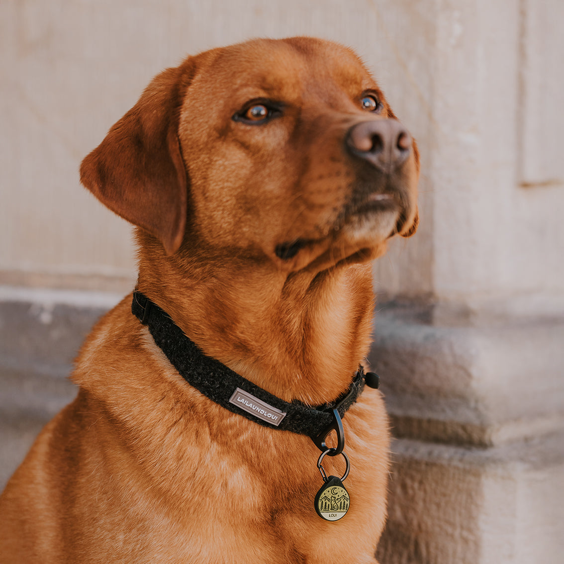 Silikon Hundemarke ® Khaki | Ø 25mm
