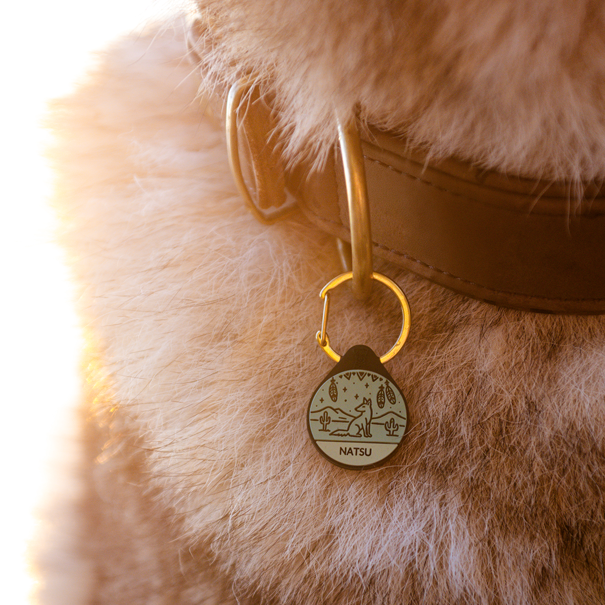 Silikon Hundemarke ® Salbei | Ø 25mm