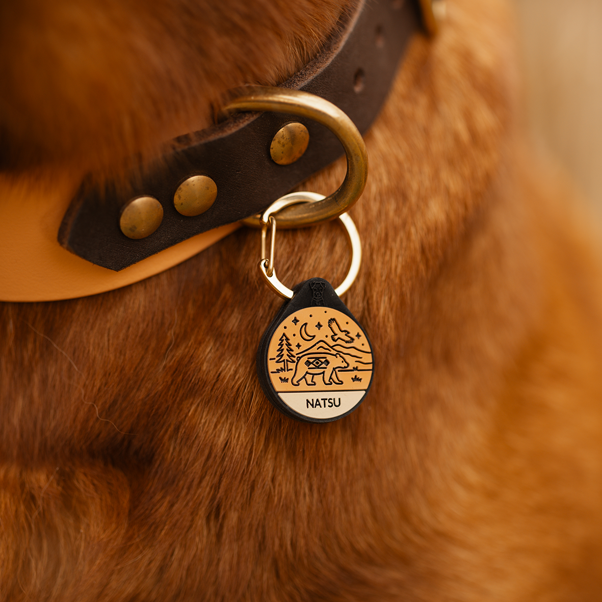 Silikon Hundemarke ® Terracotta | Ø 25mm