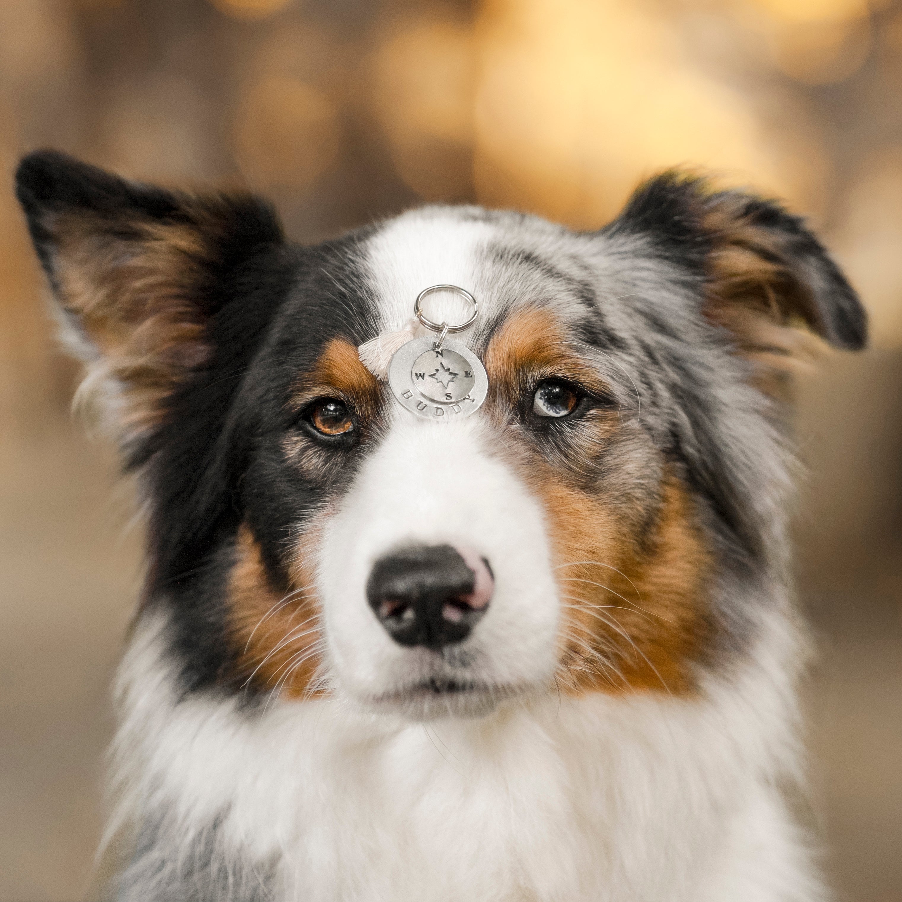 Personalisierte Hundemarke Rund Ø 30 mm mit Anhänger