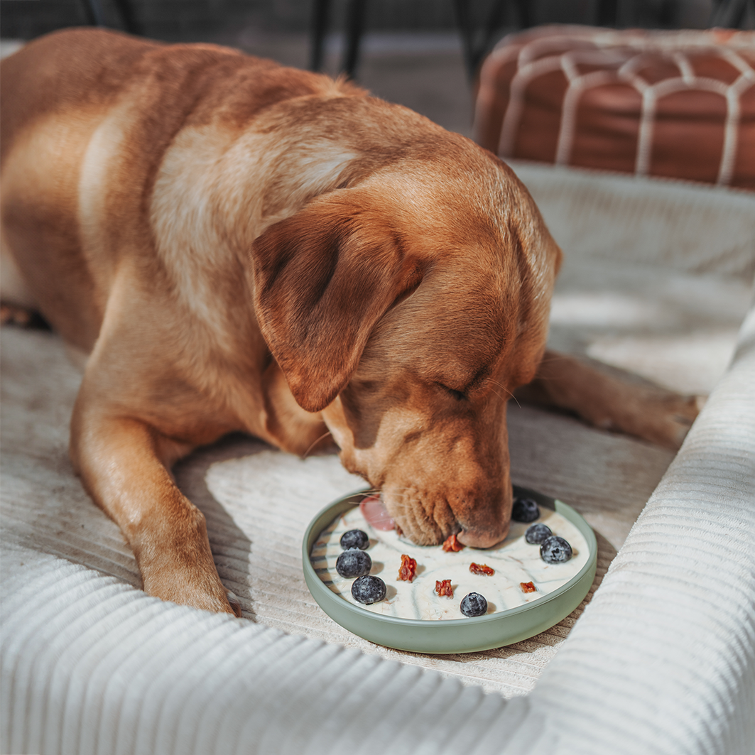 Boho Schleckmatte für Hunde OLIVEGREEN